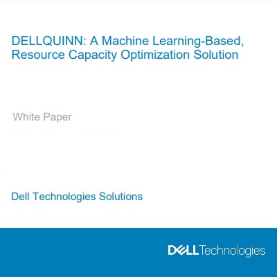 DELLQUINN: A Machine Learning-Based, Resource Capacity